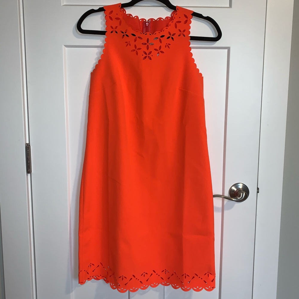 NWT J Crew Dress